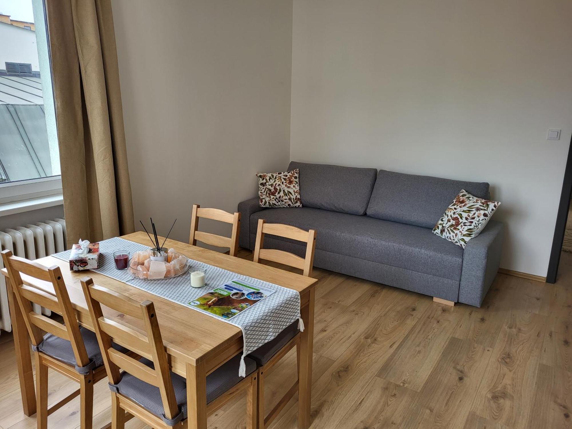 City Center Apartments - Moderna Brno Rimske Namesti IV 外观 照片